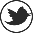 twitter bird
